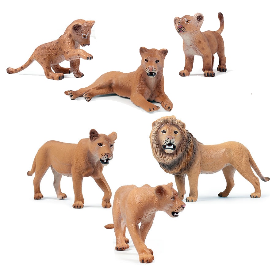6 pcs  ߻     峭 öƽ lionesses    ǱԾ Ȩ  Ի  